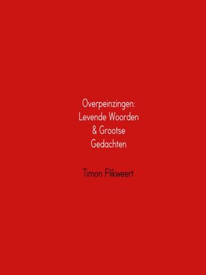 cover image of Overpeinzingen